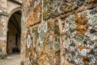 Mur en pierre de granit centenaire recouvert de lichen et mousse, illustrant la durabilité des matériaux naturels sur des millénaires